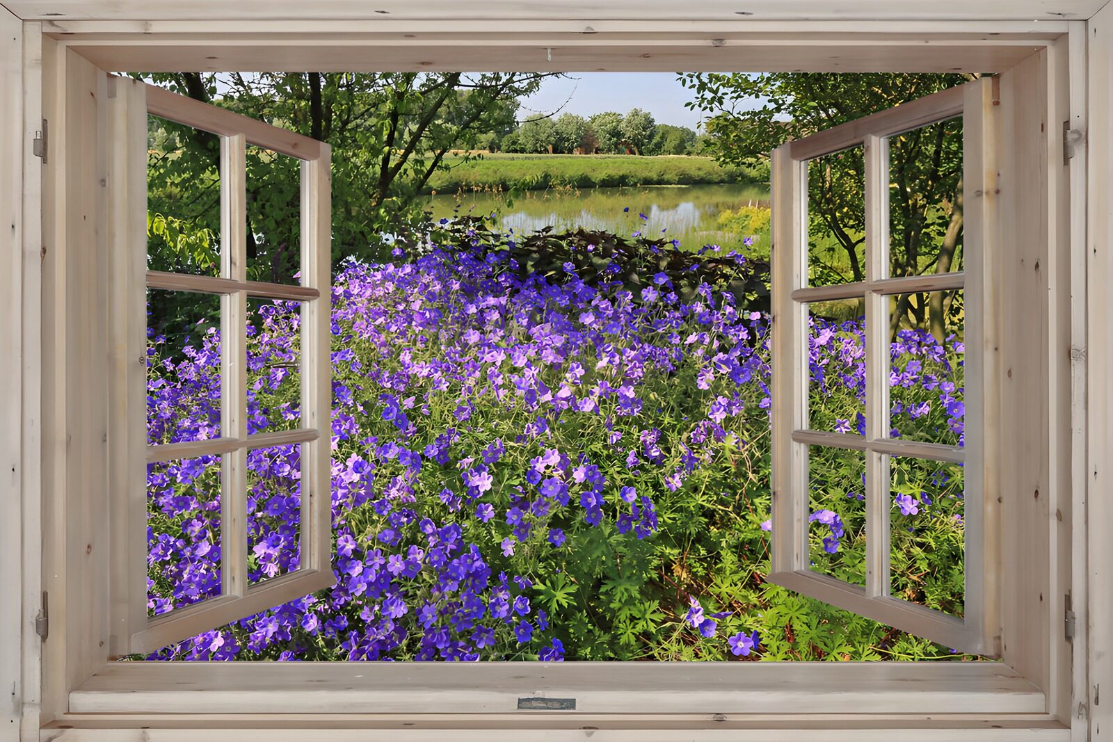 PDGIT9887675: Fiori viola, una finestra sulla quiete