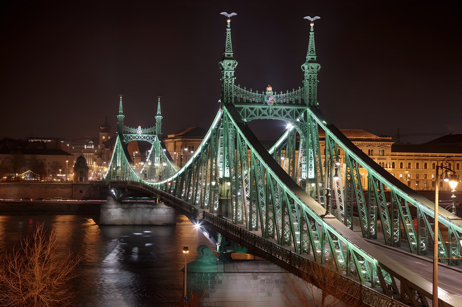 PDGIT6242790: Ponte della Libertà illuminato di notte