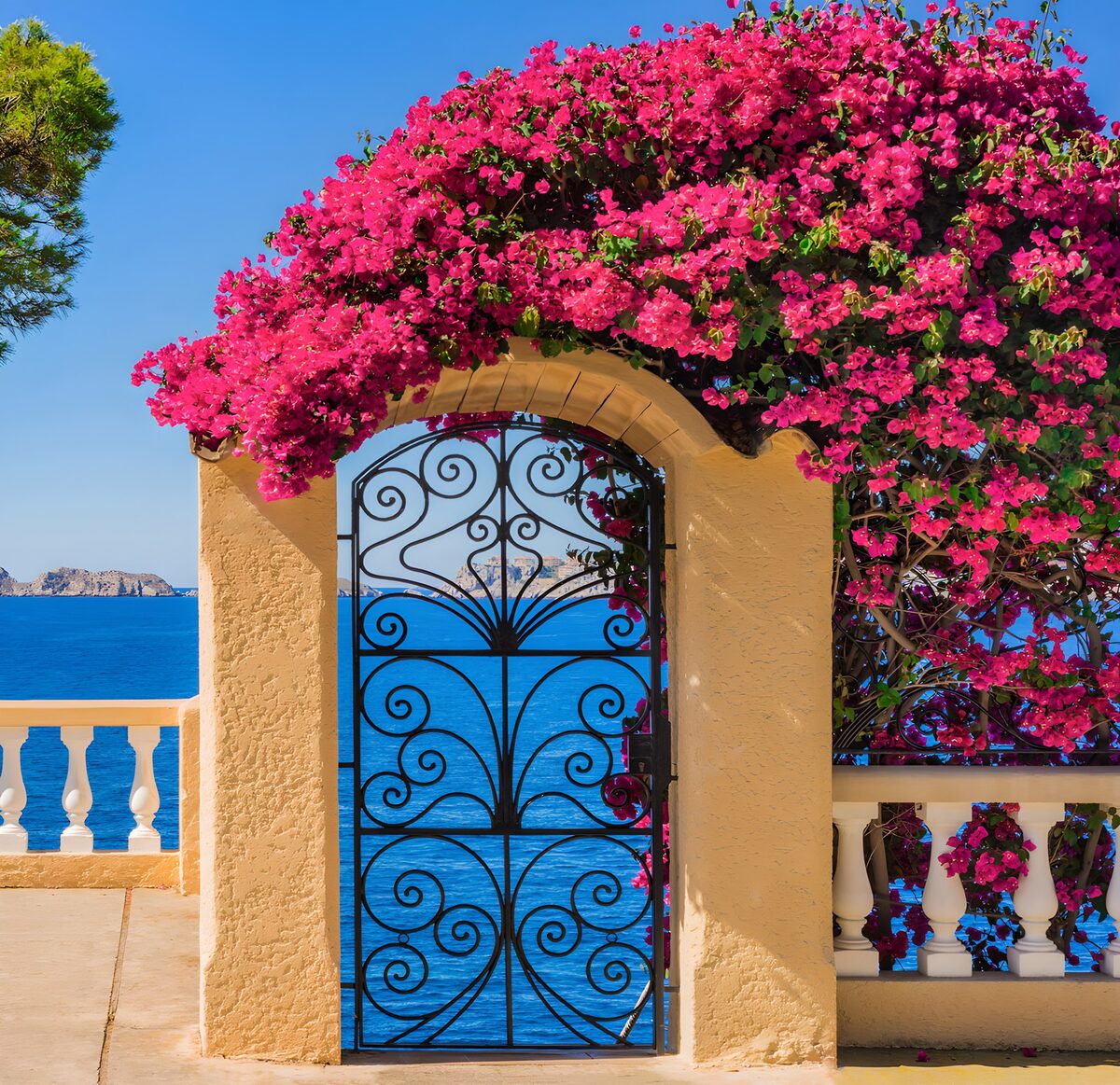 PDGIT3932845: Cancello sul mare tra bouganville rosa