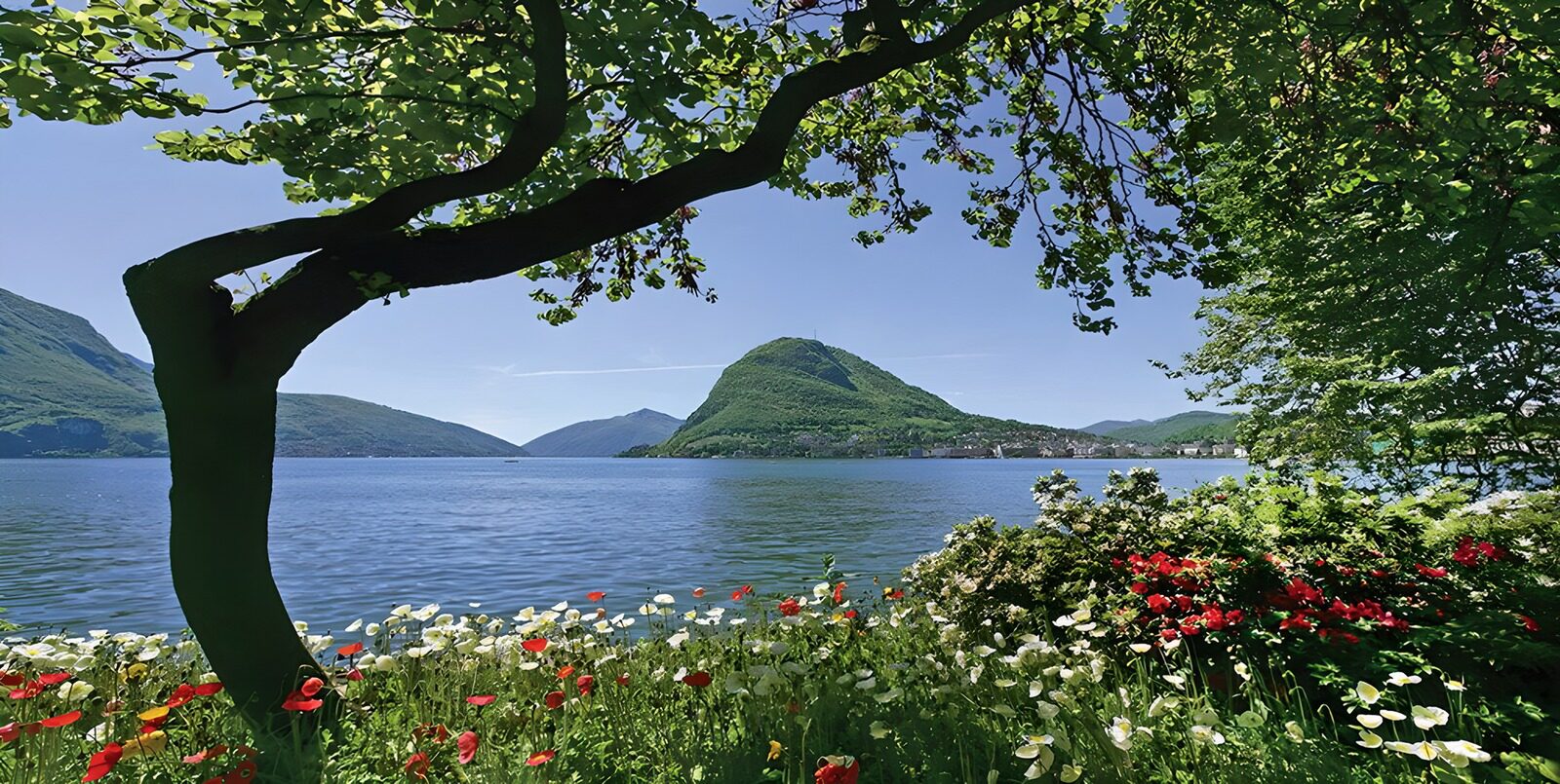 PDGIT1907223: Lago al sole tra monti e fiori