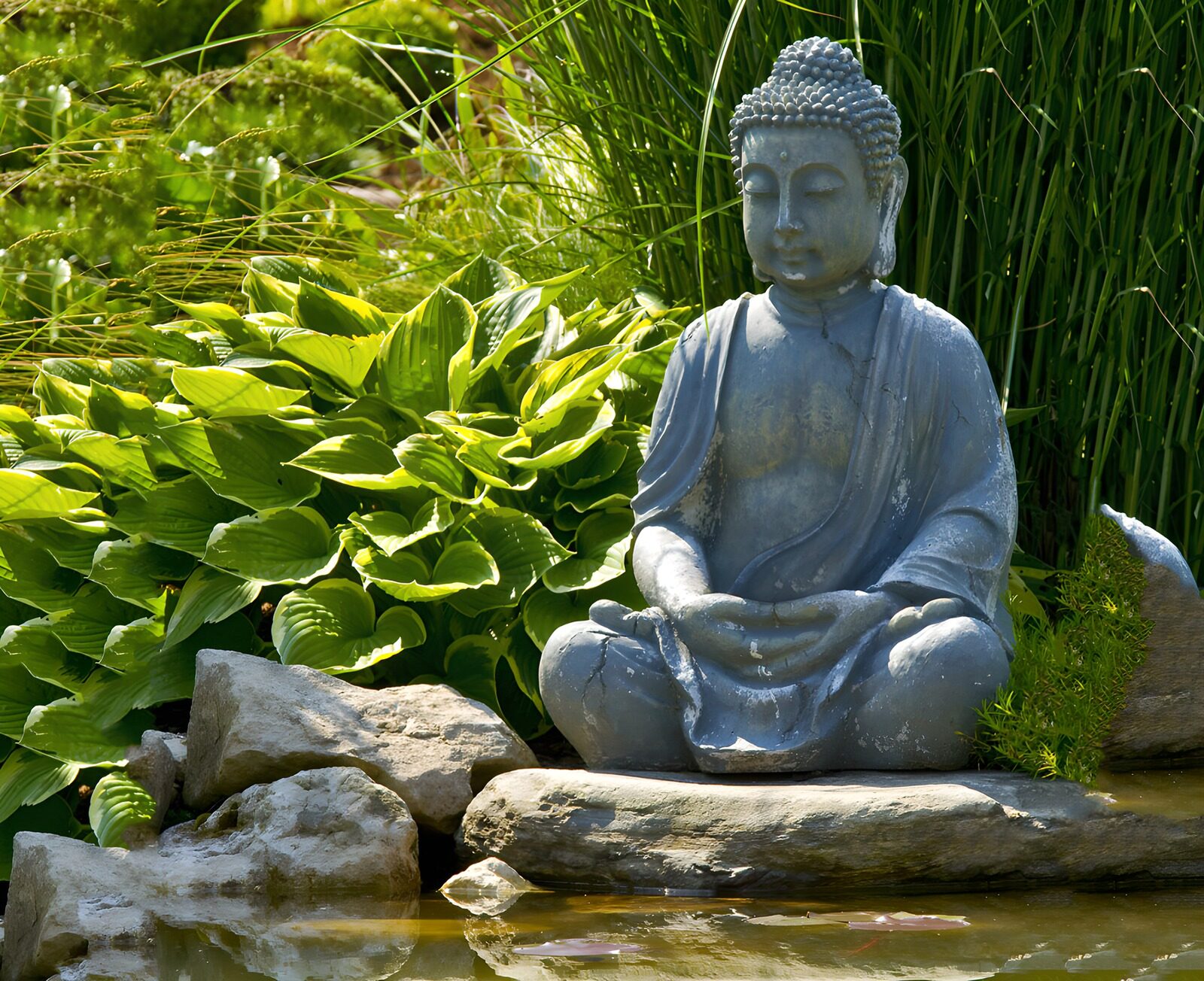 PDGIT3431571: Buddha in pietra nella quiete dello stagno
