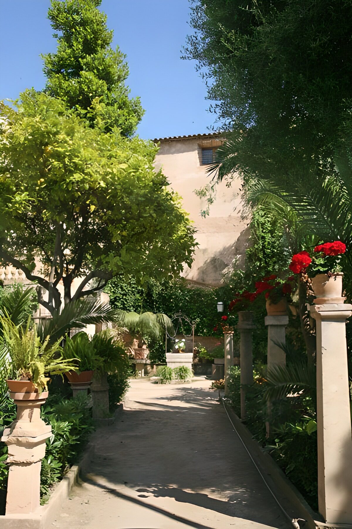 PDGIT6652403: Cortile verde con vialetto e pozzo