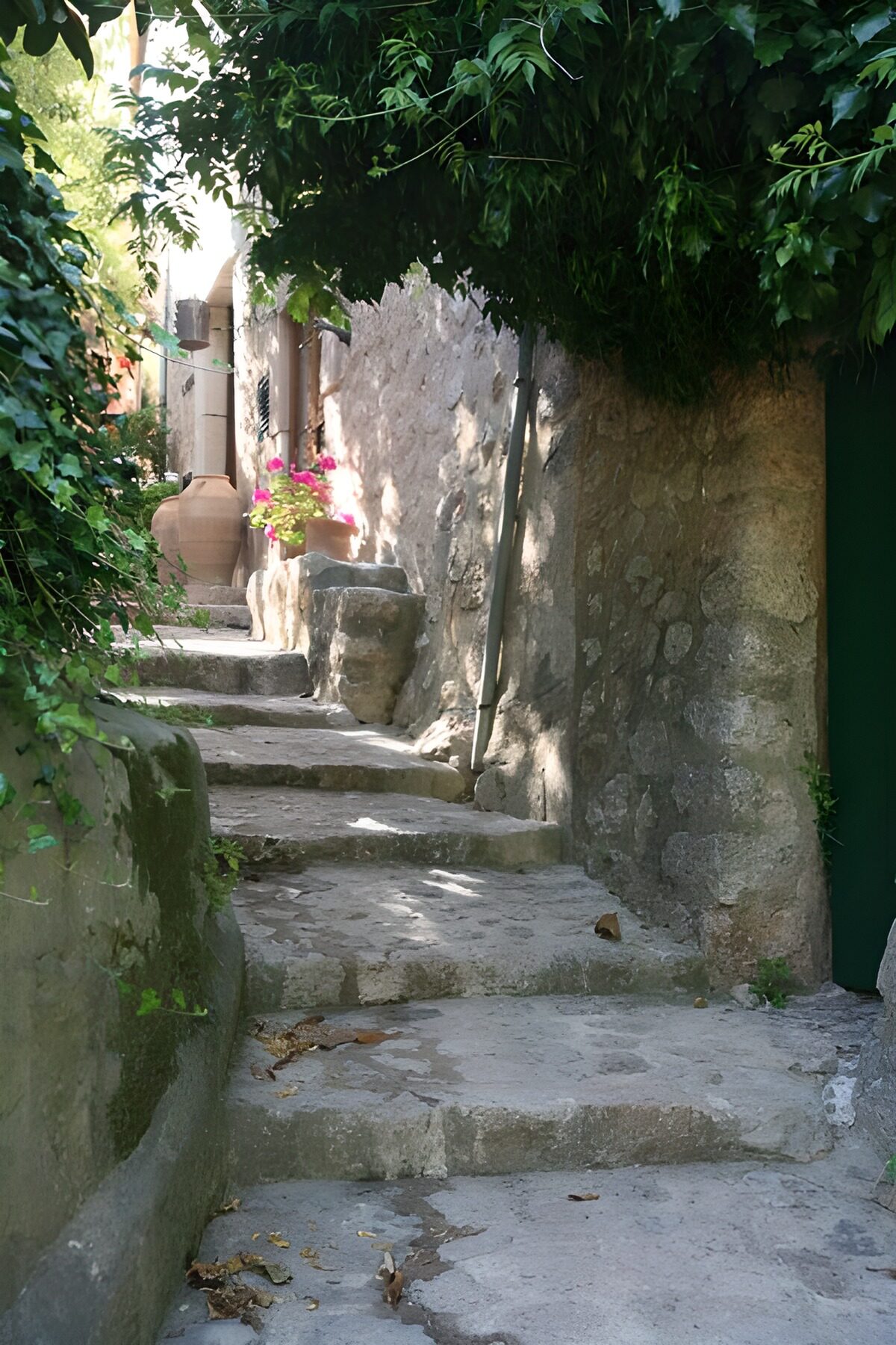 PDGIT6201083: Scalinata di pietra tra ombra e verde