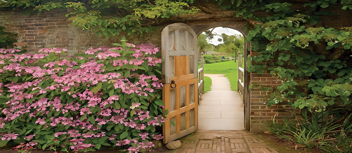 PDGIT2305961: Porta aperta sul giardino in fiore
