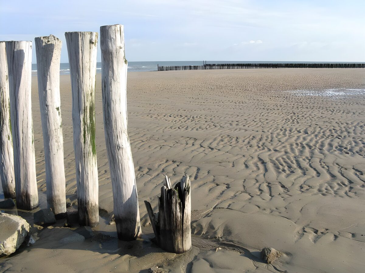 Pali di legno sulla spiaggia in bassa marea