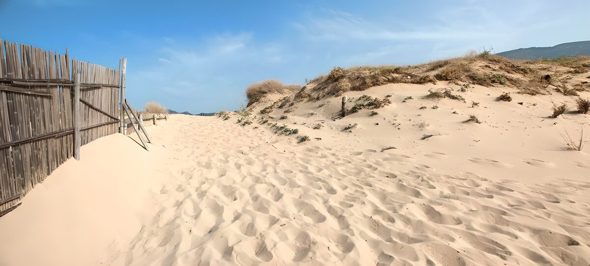 PDGIT4872300: Sentiero di sabbia tra dune e staccionata