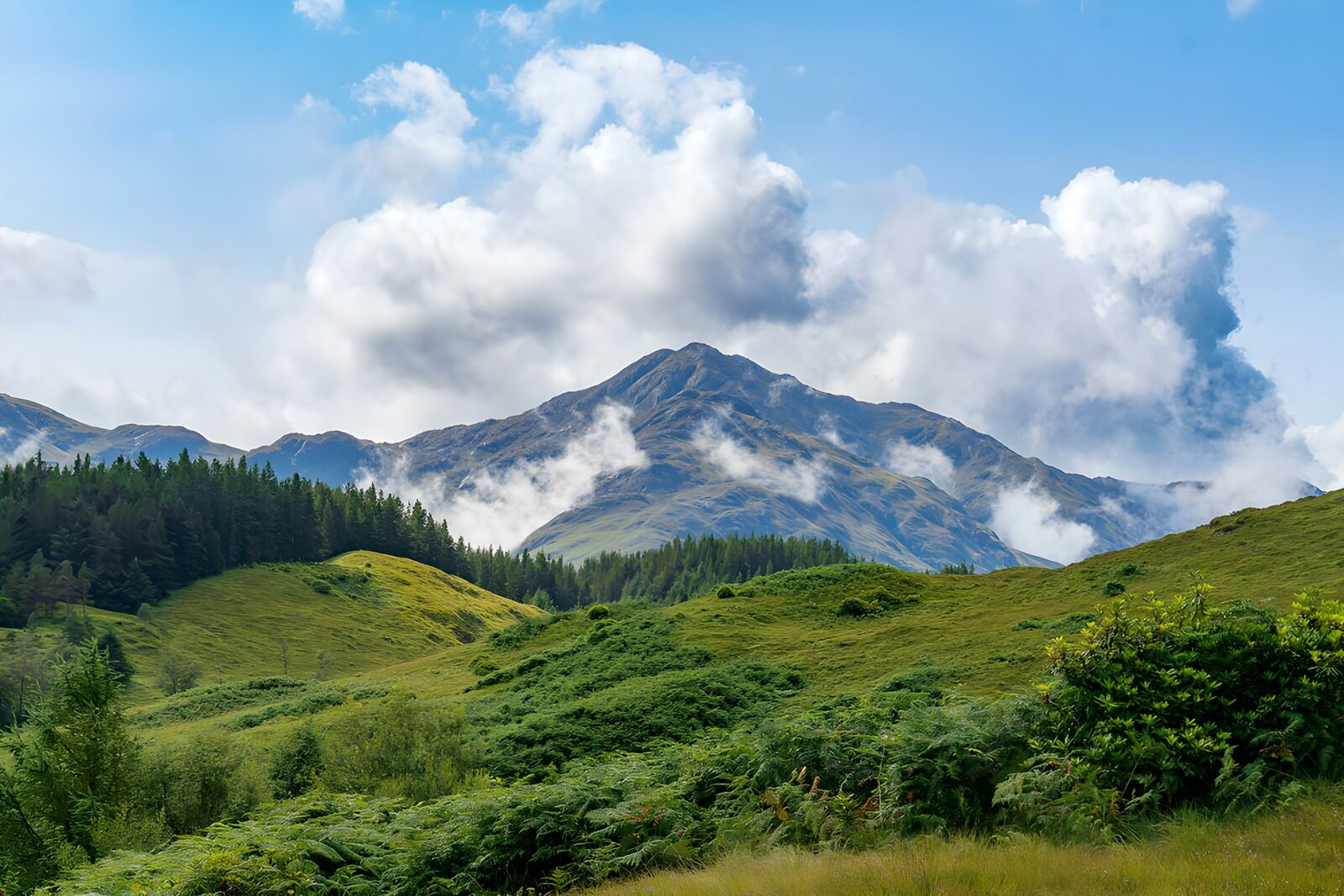 PDGIT4706488: Colline verdi ai piedi della montagna