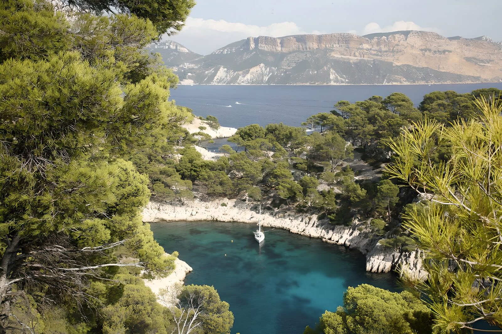 PDGIT9700520: Cala turchese con pini e barca a vela