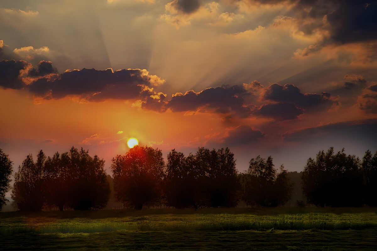 PDGIT3945804: Tramonto sul prato tra luci e ombre