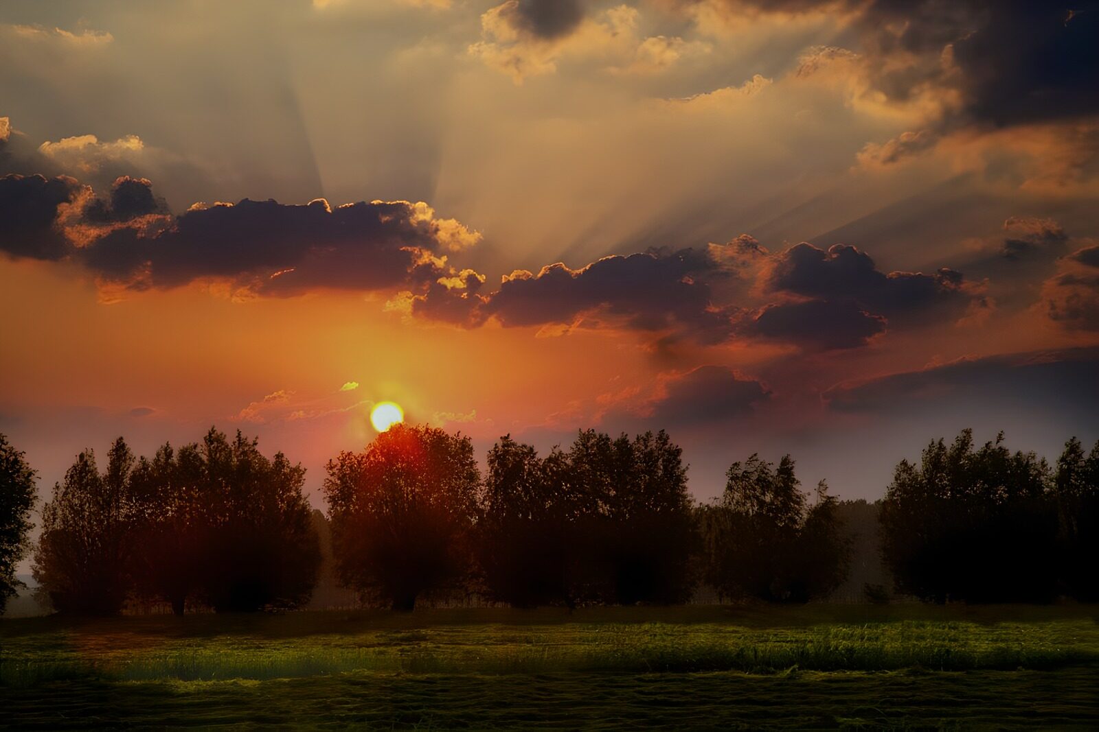 PDGIT3945804: Tramonto sul prato tra luci e ombre
