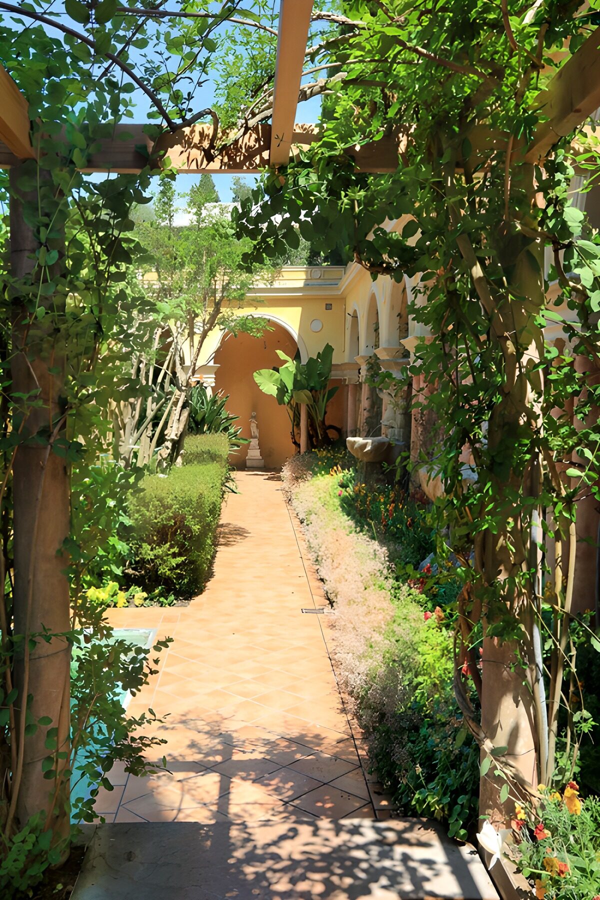 PDGIT3174291: Cortile al sole con pergolato verde