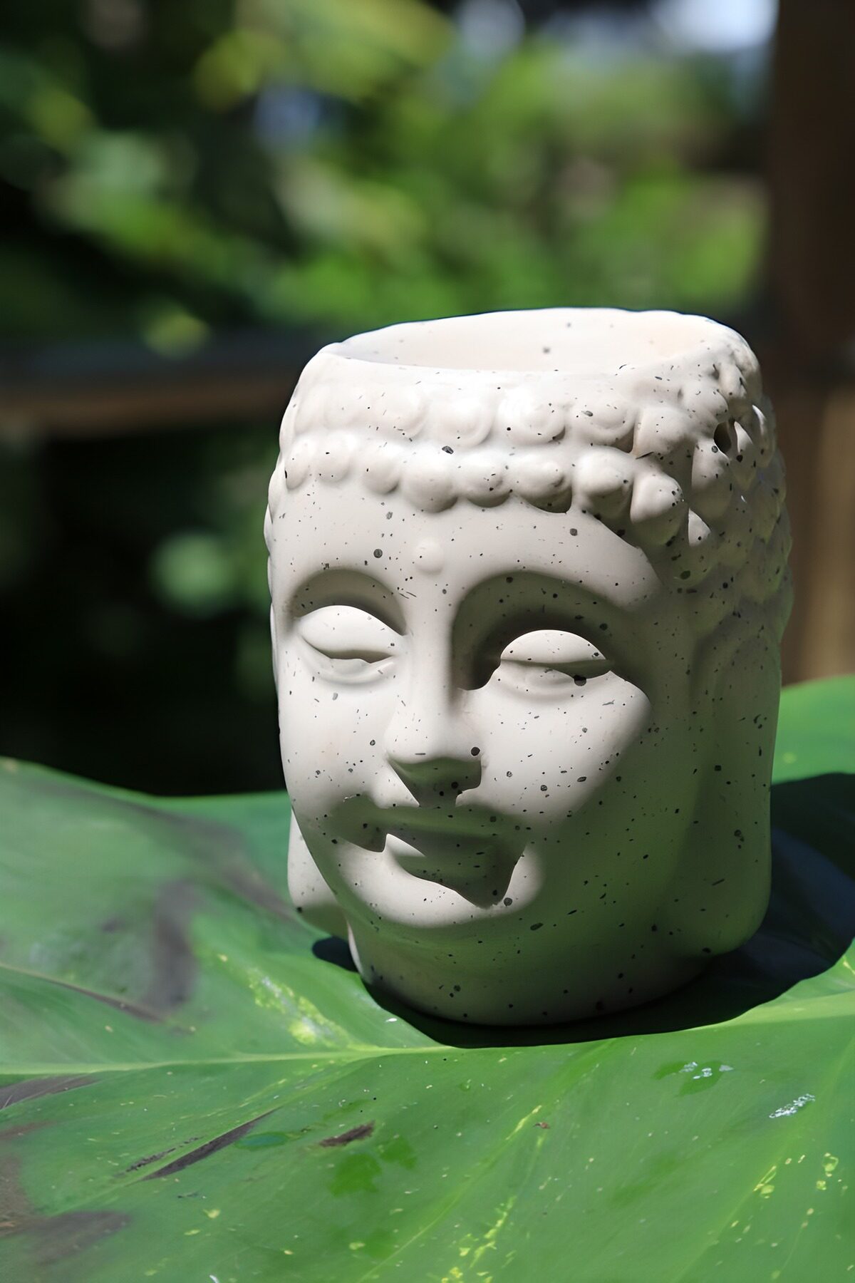 PDGIT2796823: Buddha bianco su una foglia, un attimo di pace