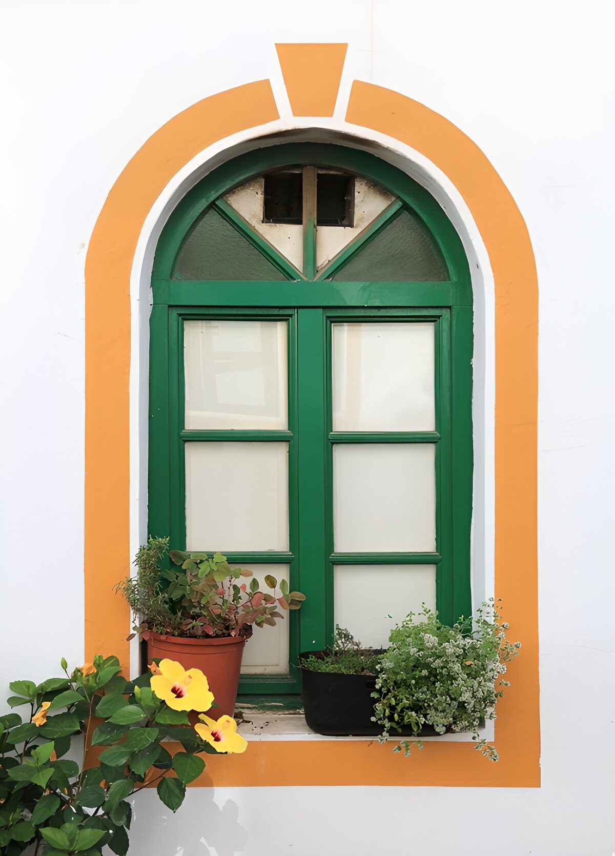 PDGIT5811560: Finestra verde ad arco e ibischi gialli