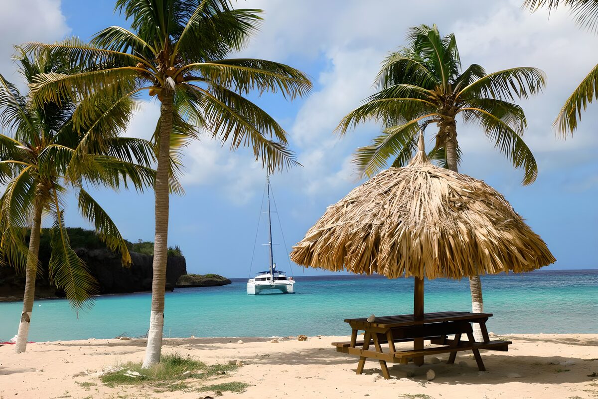 PDGIT2132259: Spiaggia tropicale con palme e catamarano