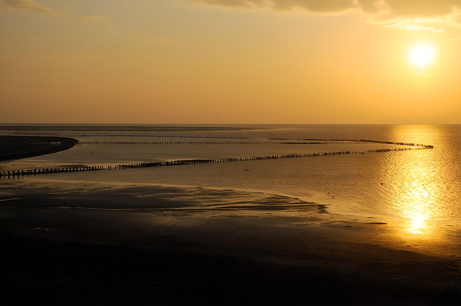 PDGIT3436880: Tramonto e file di pali sulla costa