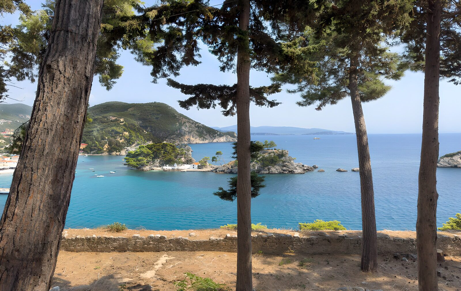 PDGIT8921482: Tra i pini, il mare si fa luce
