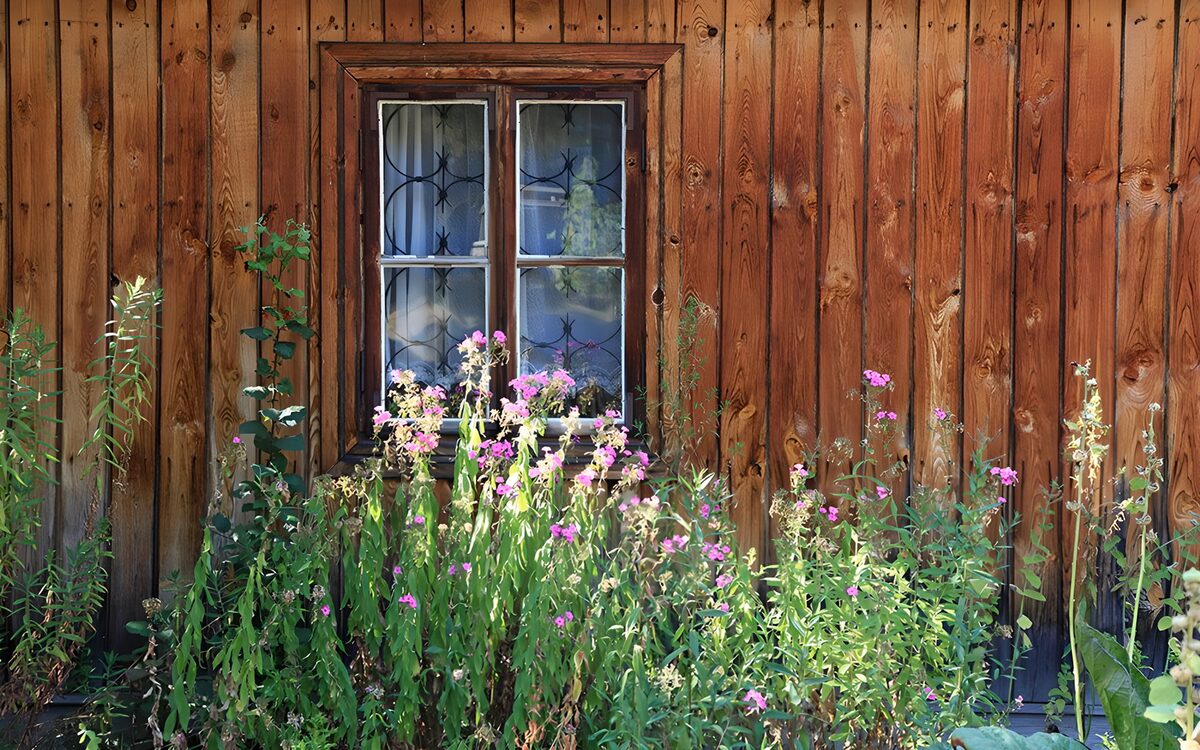 PDGIT3347923: Finestra rustica tra legno e fiori