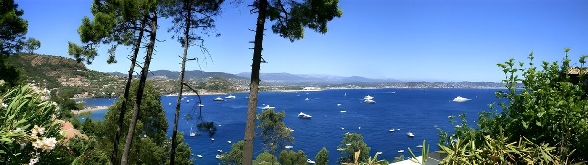 PDGIT2955007: Baia blu tra pini e barche al sole