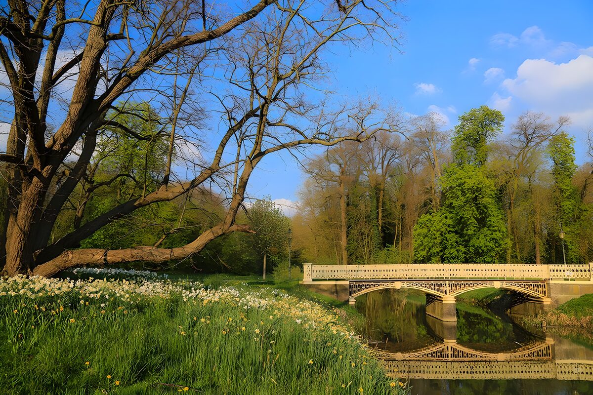 PDGIT9679699: Ponte chiaro tra i fiori di primavera