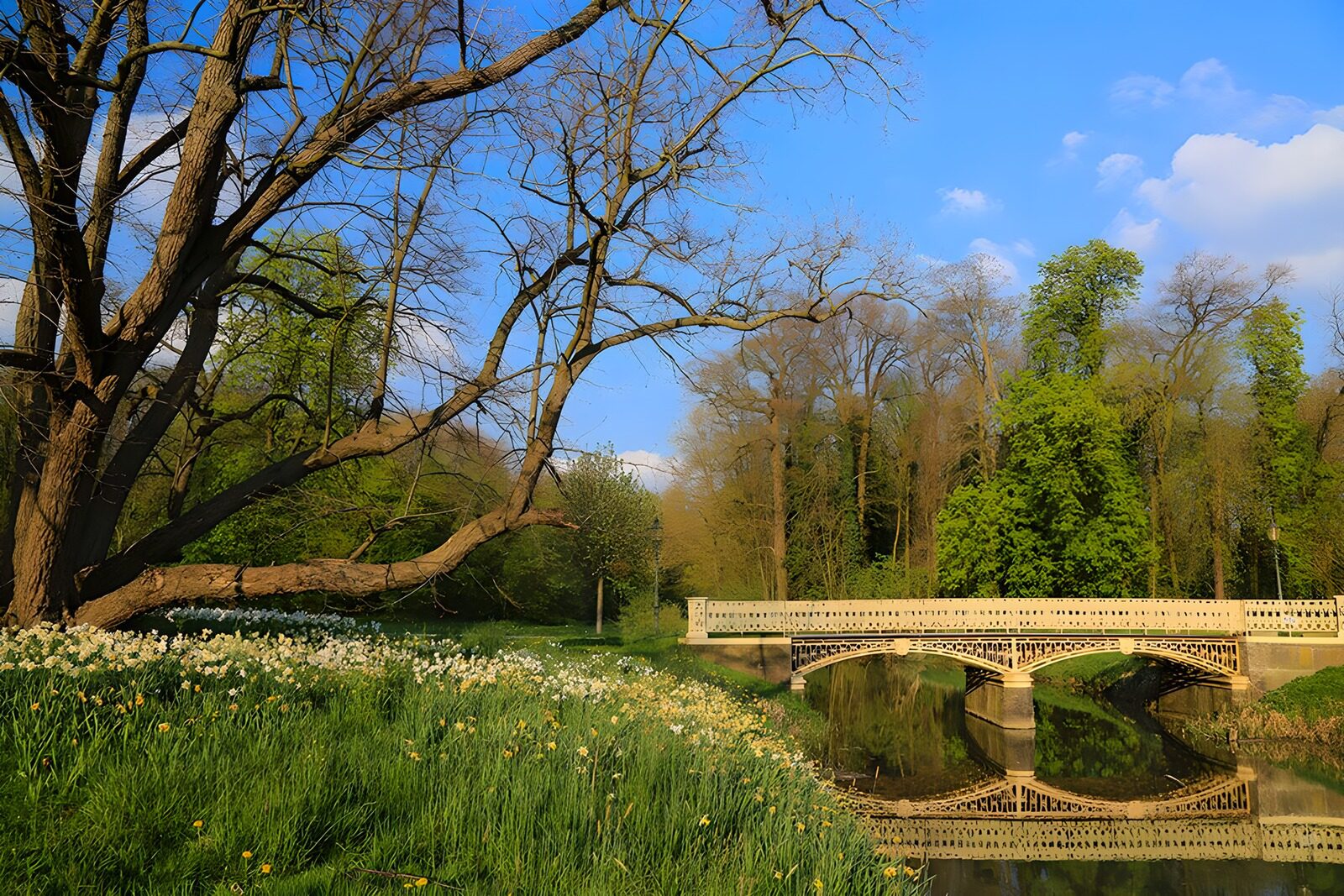 PDGIT9679699: Ponte chiaro tra i fiori di primavera