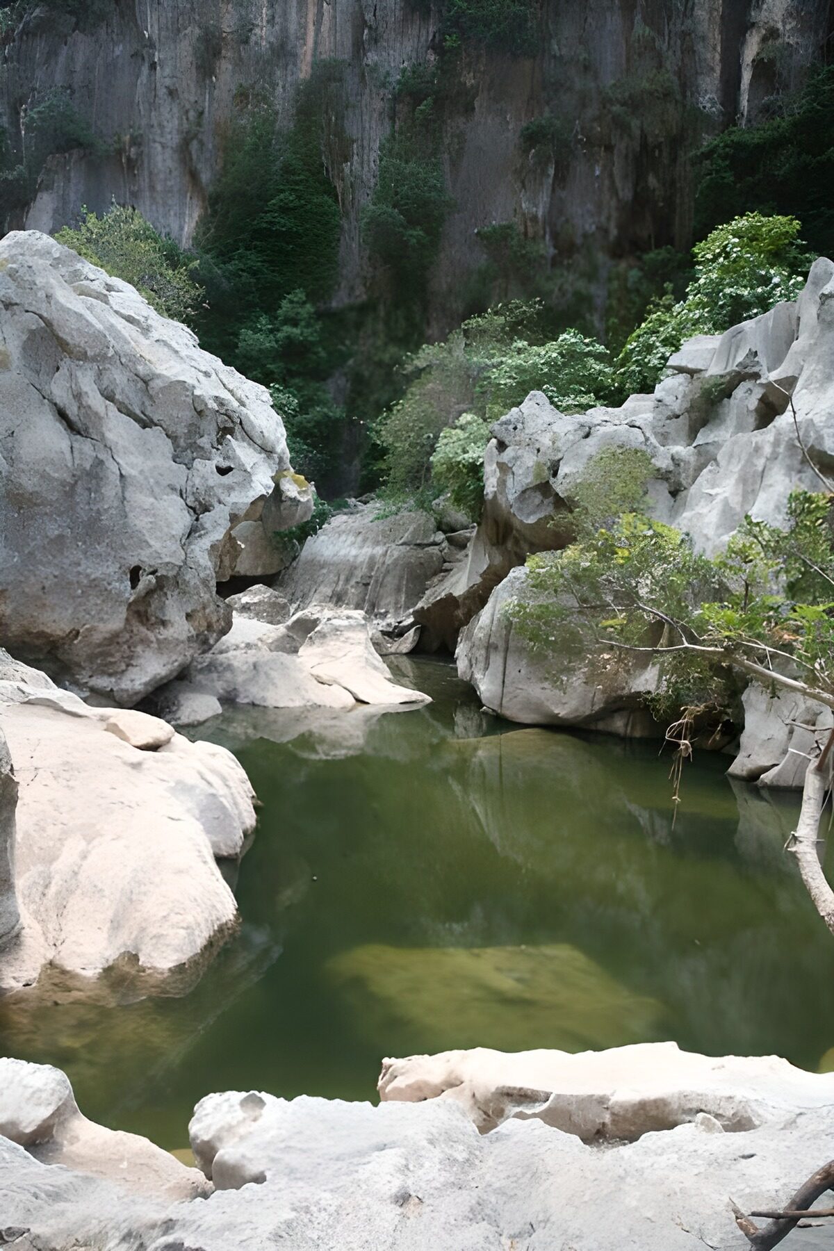 PDGIT3578137: Pozza verde tra le rocce chiare