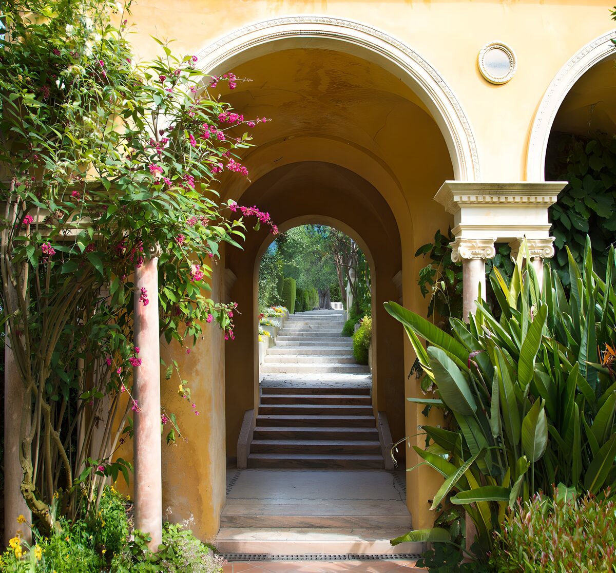 PDGIT4038297: Archi e fiori tra pareti gialle