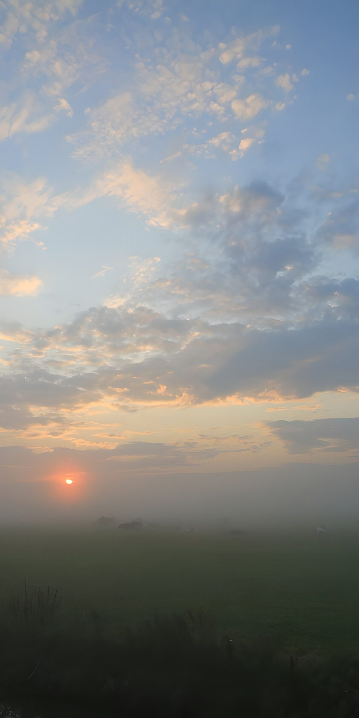PDGIT3932088: Alba sul prato avvolto nella nebbia