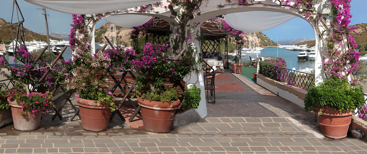 PDGIT8384959: Terrazza fiorita affacciata sul porto