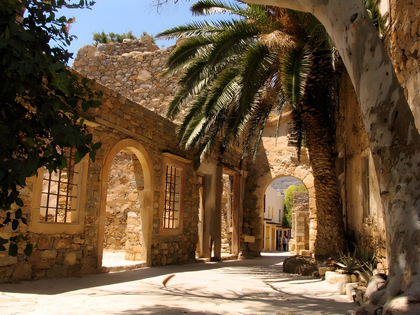 PDGIT9440718: Cortile di pietra con palma al sole
