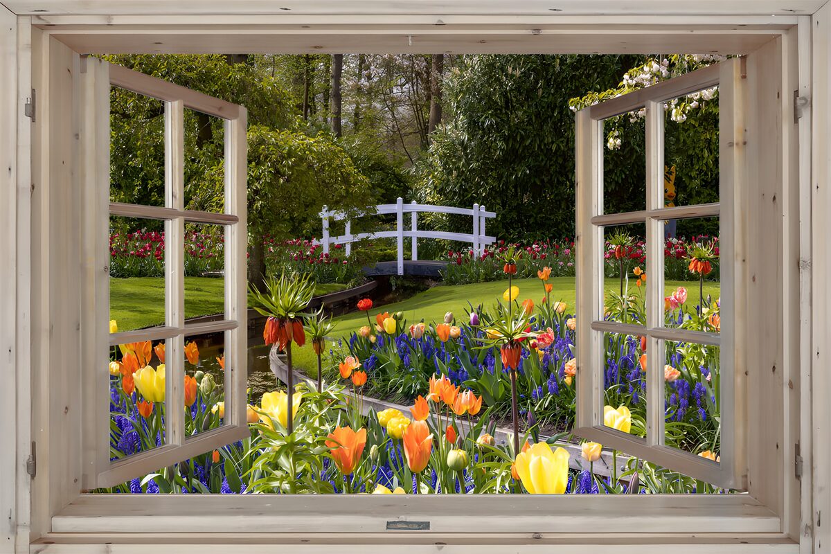 PDGIT1667852: La primavera si affaccia tra i tulipani