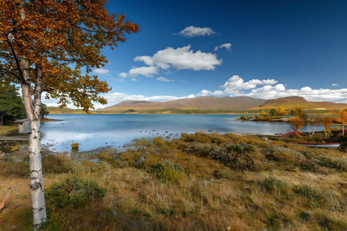 PDGIT3040058: Lago blu tra betulla e colline d’autunno