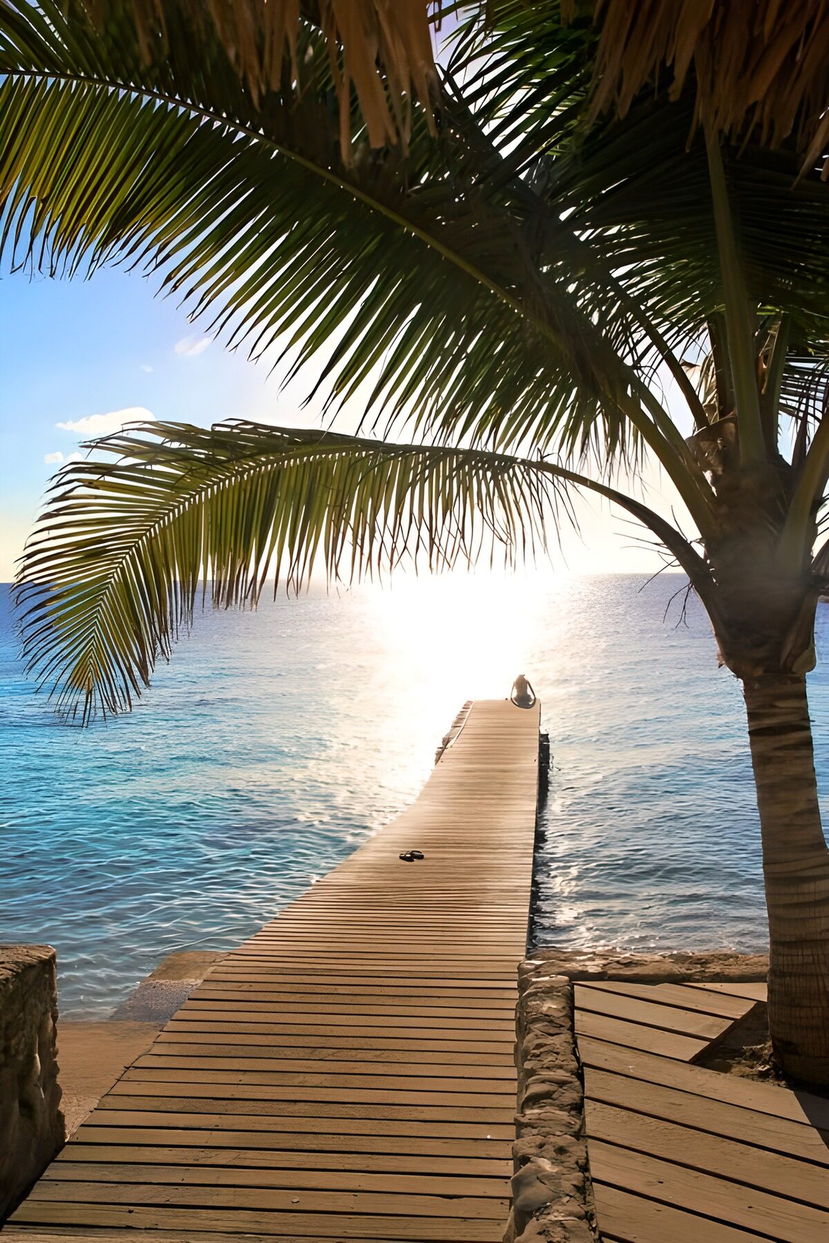 PDGIT4196050: Pontile in legno tra mare e palme