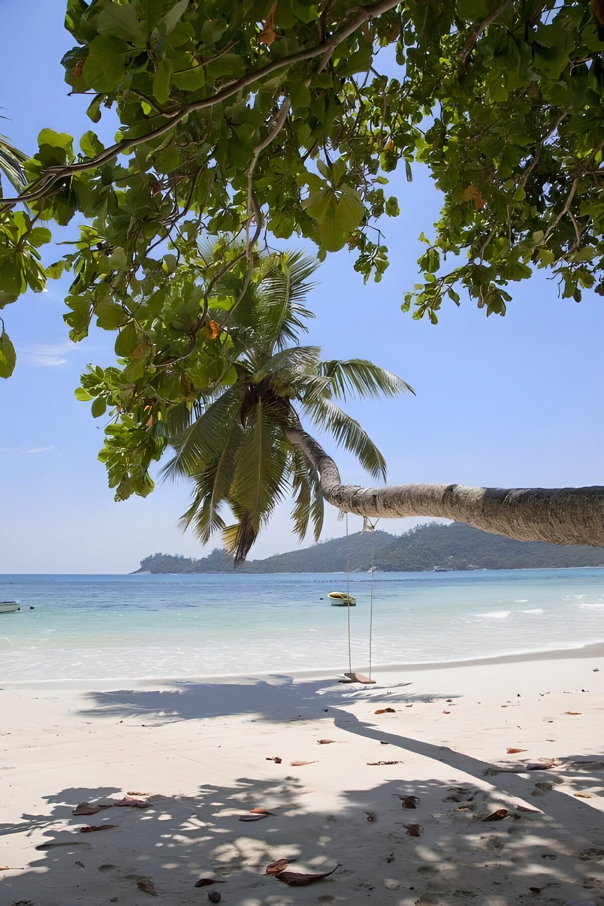 PDGIT3550174: Altalena all’ombra sulla spiaggia