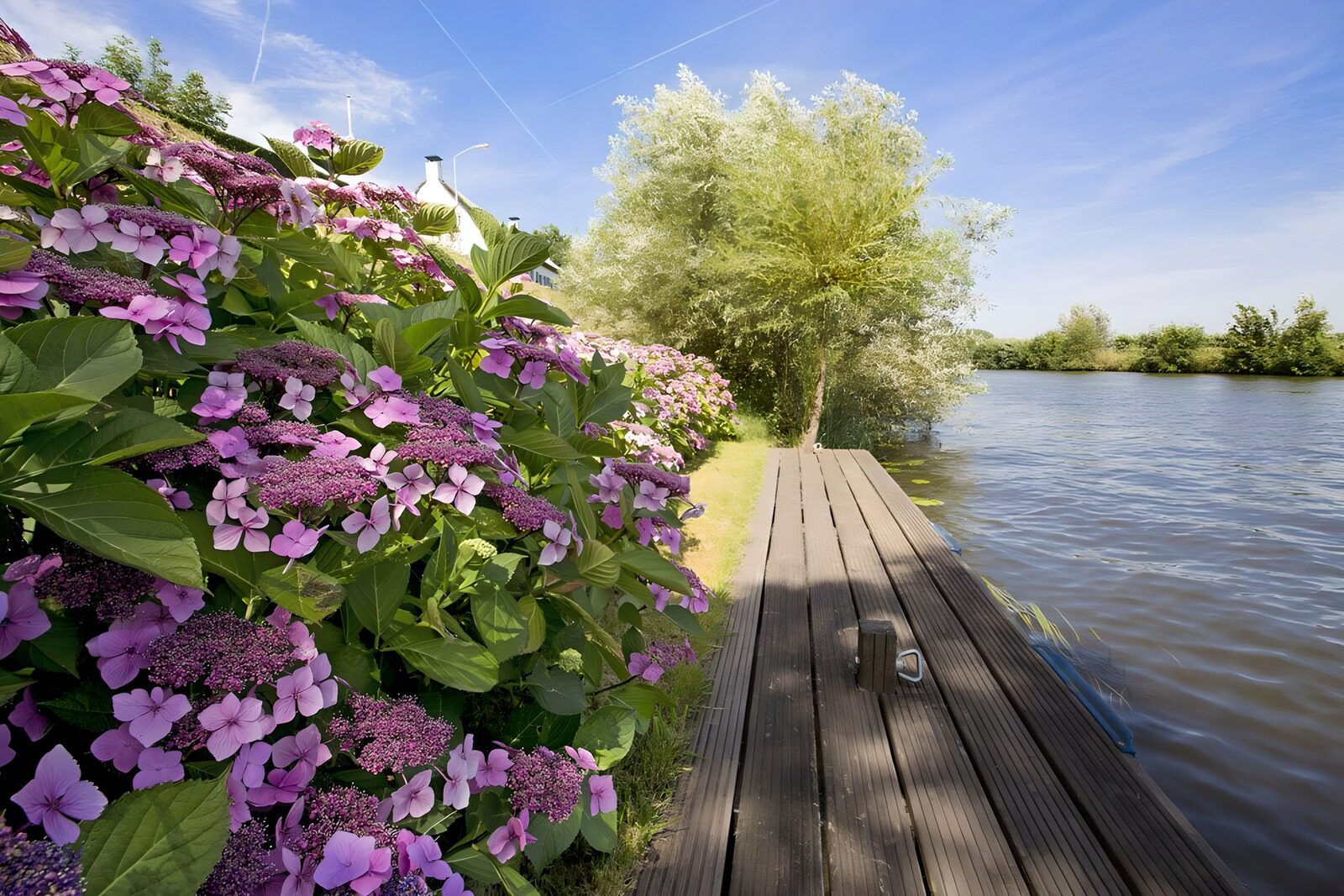 PDGIT1297097: Ortensie accanto al pontile sul lago