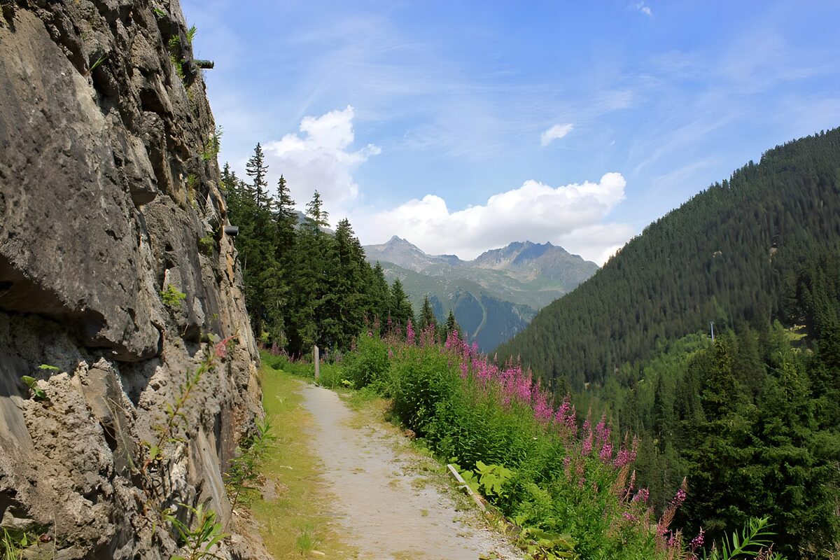 Sentiero di montagna tra rocce e fiori