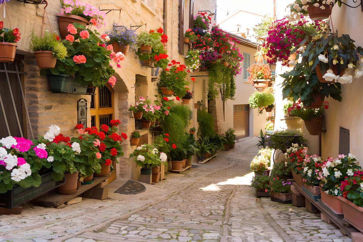 PDGIT3747256: Vicolo lastricato tra vasi in fiore