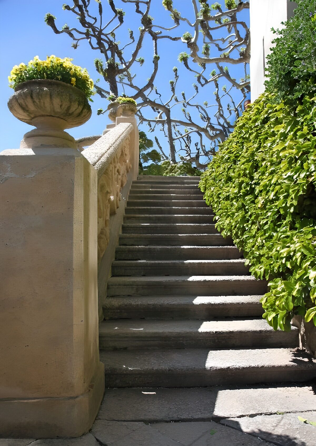 PDGIT2400729: Scalinata in pietra al sole