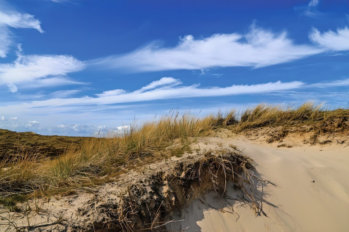 PDGIT8194068: Dune erbose e nuvole nel cielo azzurro
