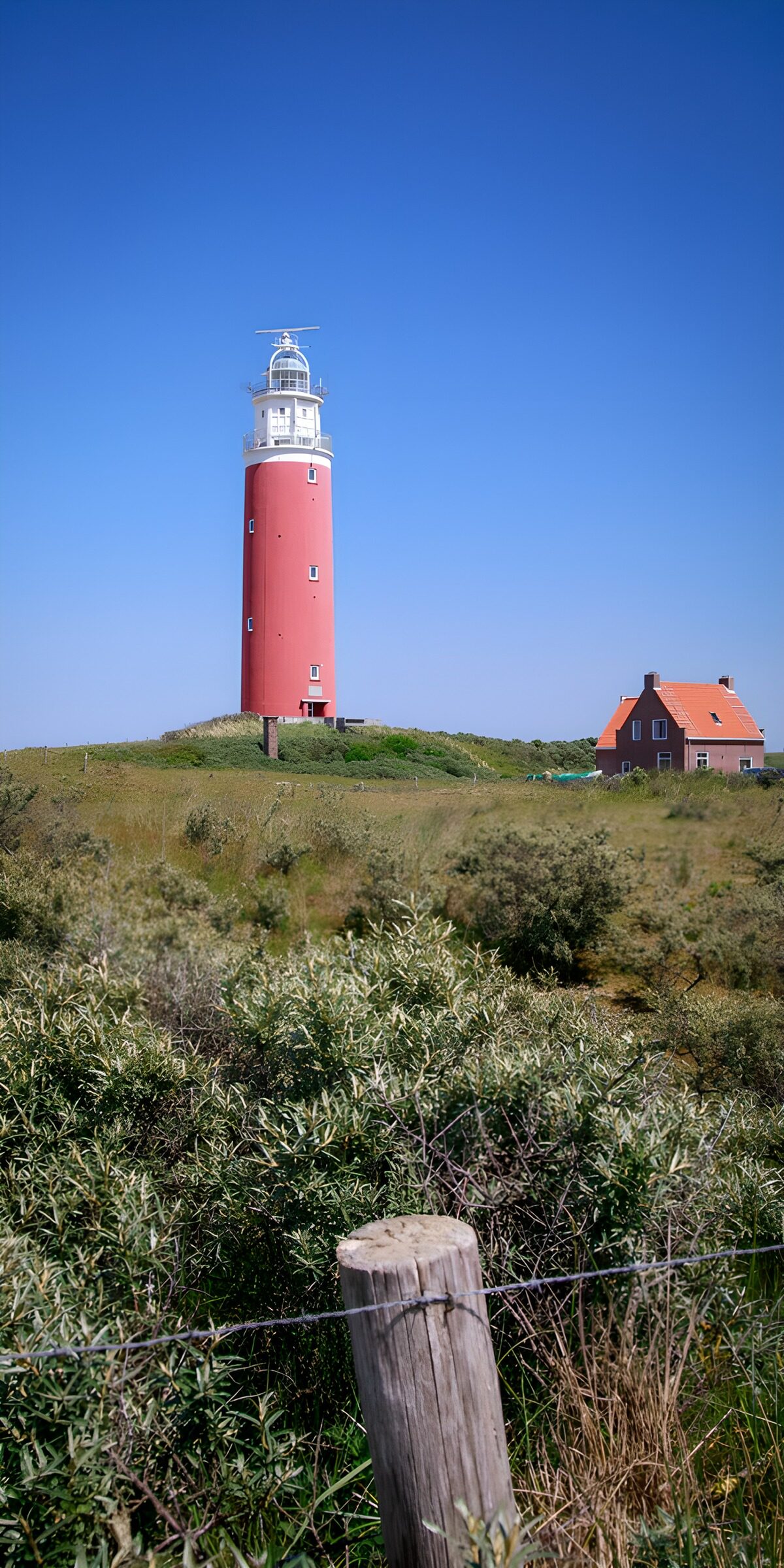 PDGIT9904765: Faro rosso e bianco tra le dune