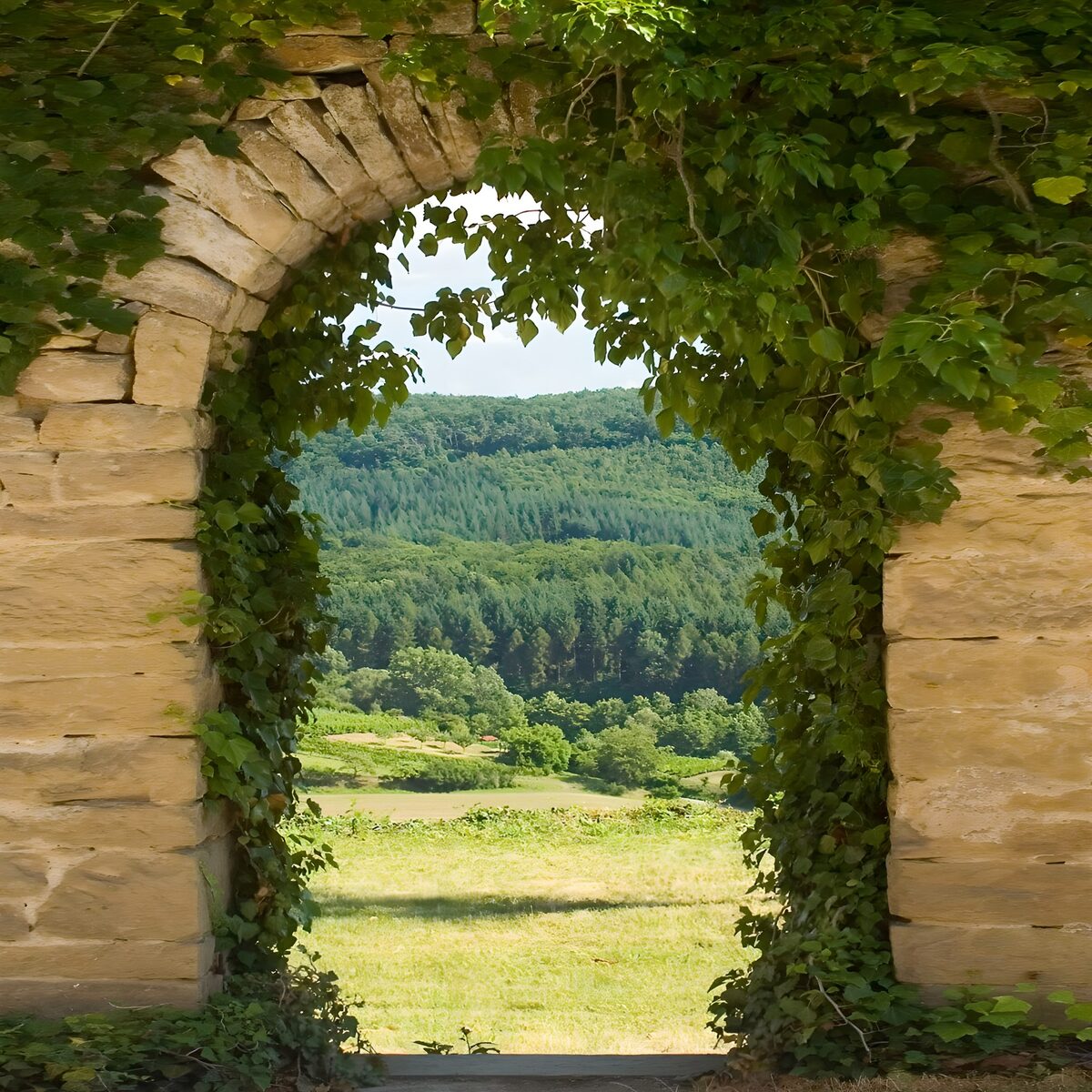 PDGIT8683172: Arco in pietra sul prato assolato