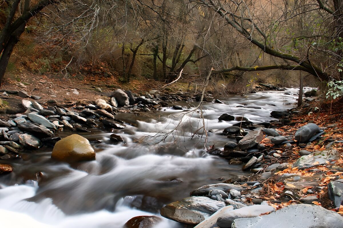 PDGIT2243053: Torrente tra rocce e foglie d’autunno