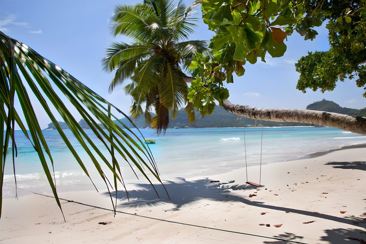 PDGIT8093687: Spiaggia di palme e mare turchese