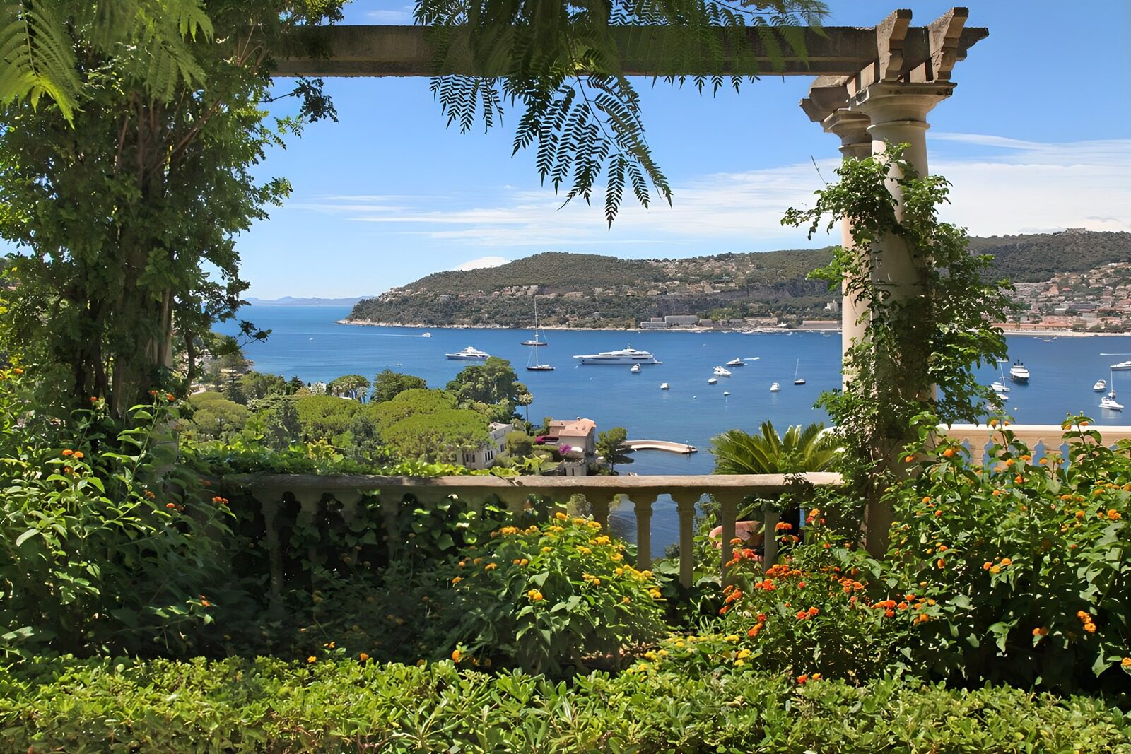 PDGIT7015250: Terrazza fiorita sulla baia