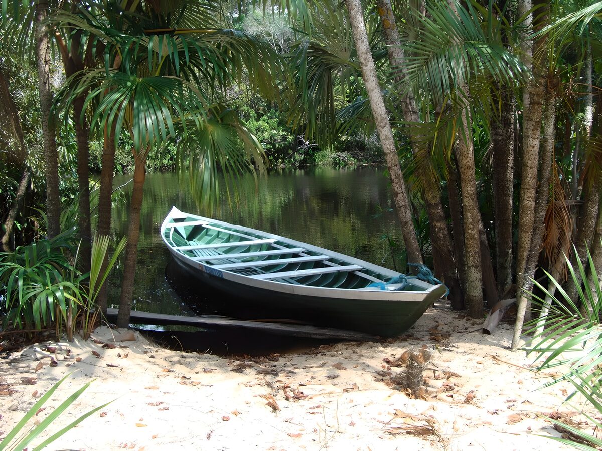 PDGIT4358672: Barca verde a riva tra le palme