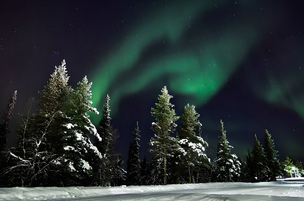 PDGIT4625252: Aurora boreale sul bosco innevato