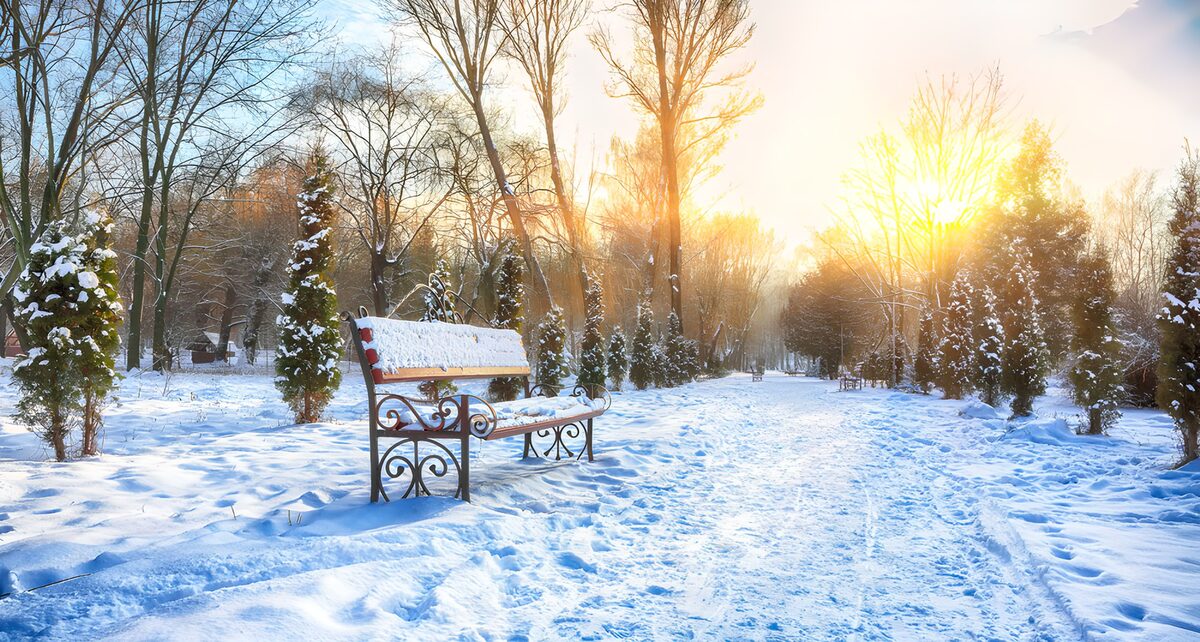 PDGIT9513259: Panchina nel parco tra neve e sole