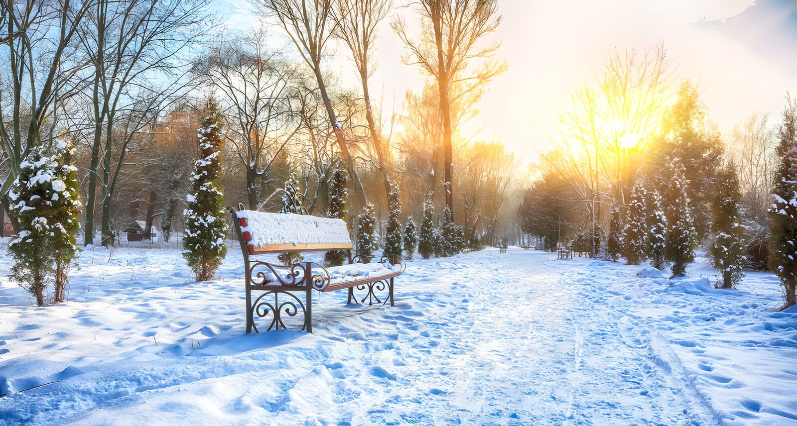 PDGIT9513259: Panchina nel parco tra neve e sole