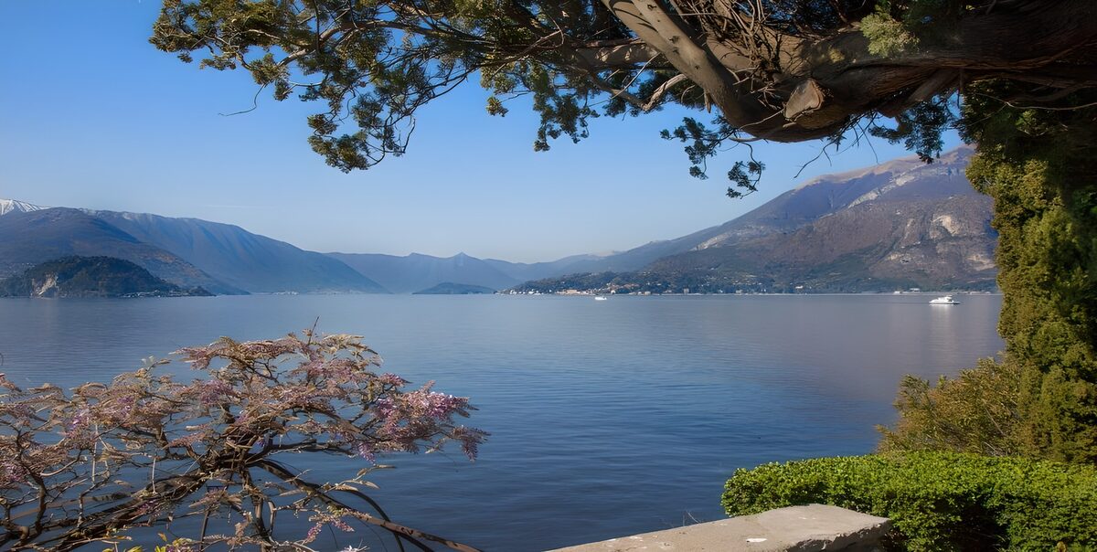 PDGIT5839642: Lago tra i monti, al riparo dei rami