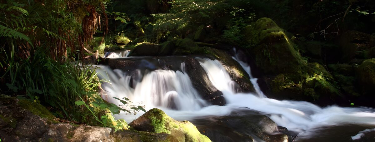 PDGIT5731629: Cascatelle tra rocce e muschio nel bosco