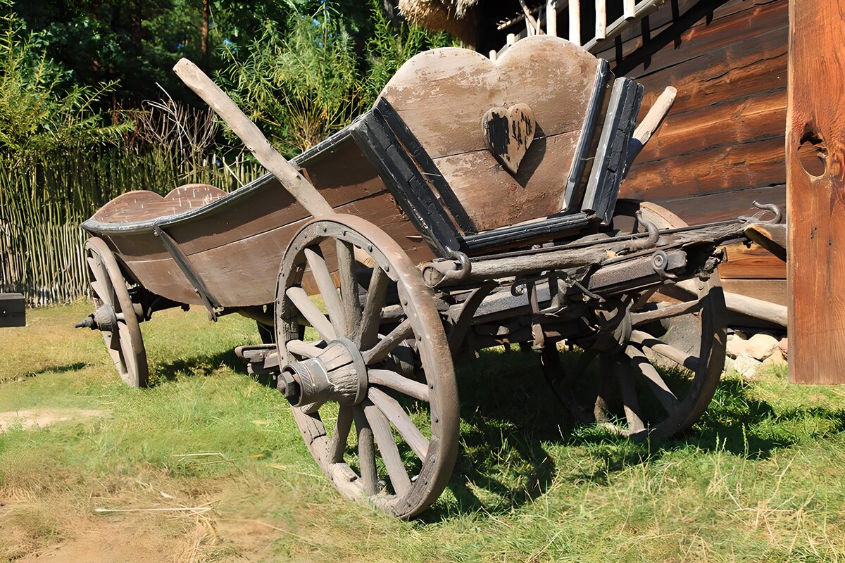 PDGIT4337299: Vecchio carro di legno sull'erba